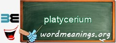 WordMeaning blackboard for platycerium